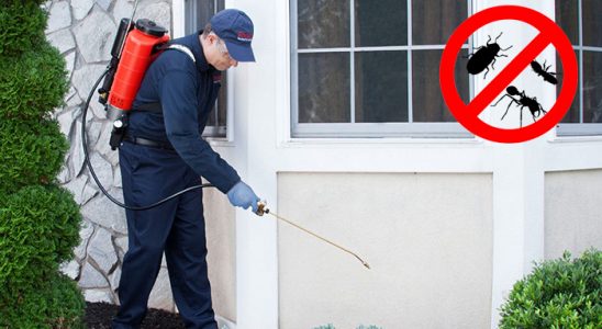 Zile Tahtakurusu İlaçlama böcek ilaçlama ve haşere kontrolü — ilaclama-tr.com